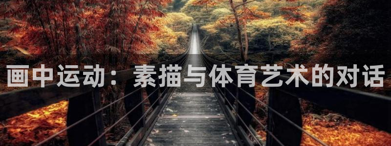 喜乐在线体育代理