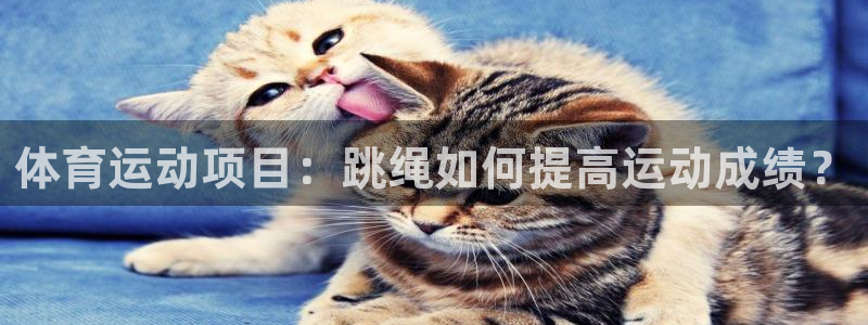德国意昂集团