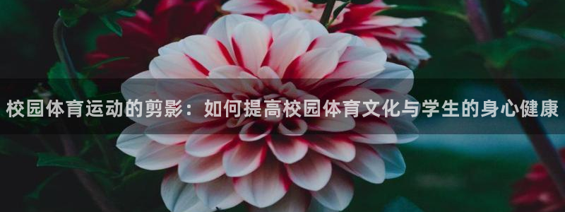 喜乐在线集团官网