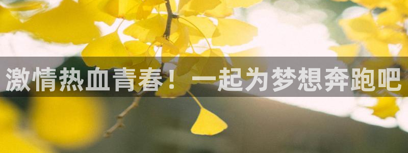 意昂4平台