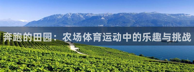 喜乐在线4代理