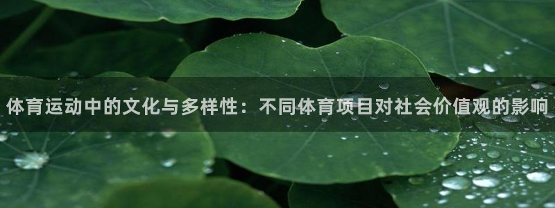 喜乐在线集团股票