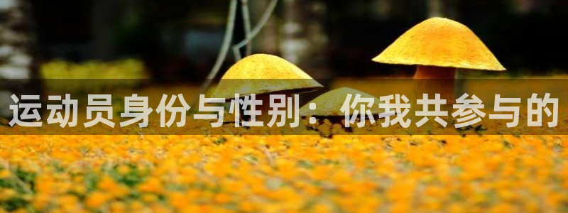 喜乐在线体育3