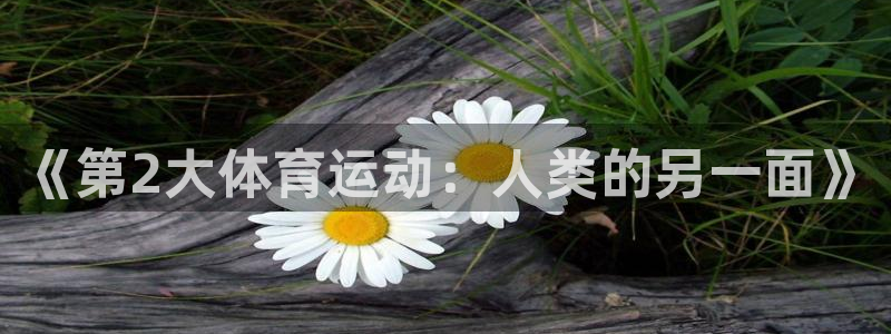 喜乐在线体育凯捷平台招商