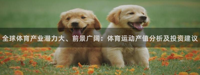 喜乐在线