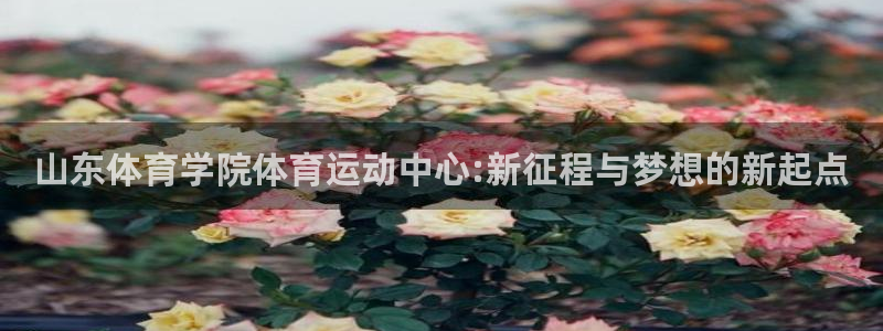 意昂官网注册