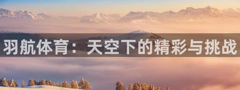 意昂4平台