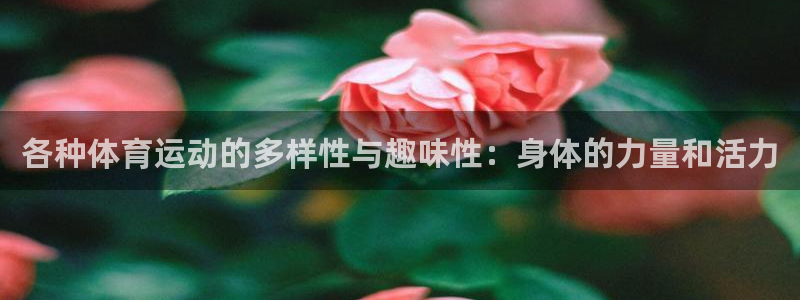 喜乐在线体育和杏耀是哪个公司的