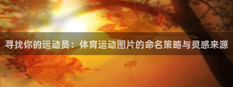 意昂4平台