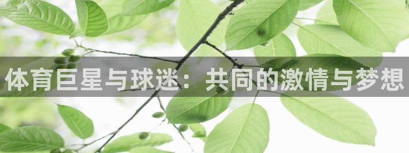 意昂