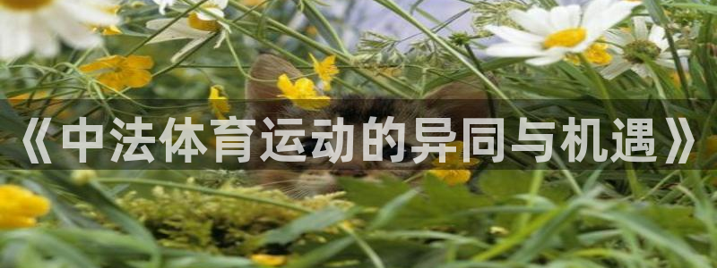 意昂4