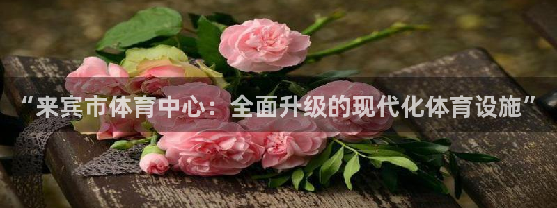 喜乐在线体育4