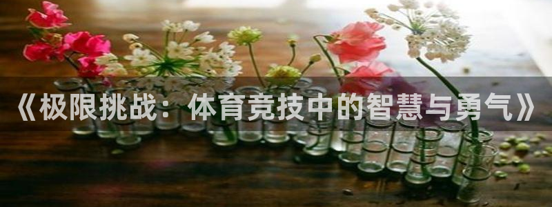 喜乐在线体育